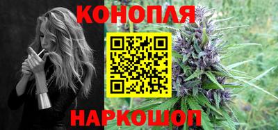 гидра Кингисепп