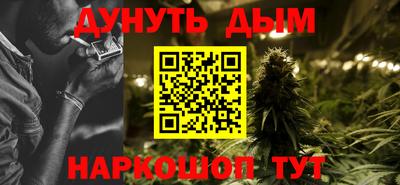 гидра Кингисепп