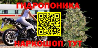 гидра Кингисепп